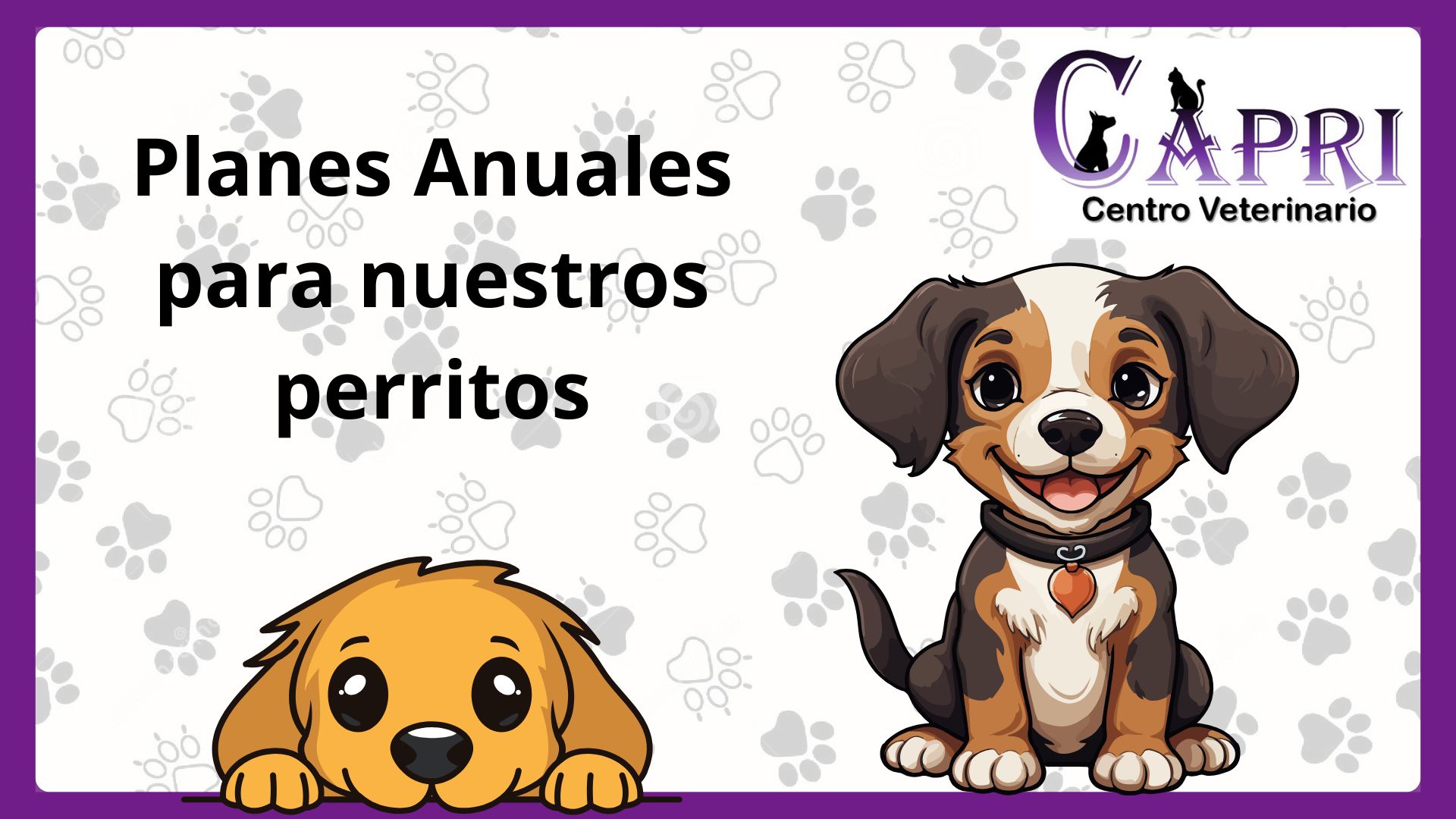 Planes Anuales para Perros